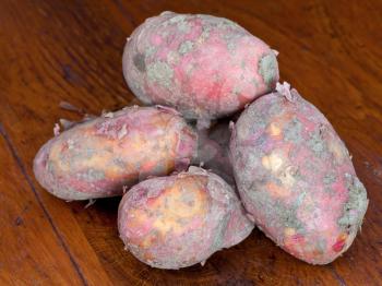 few new pink potatoes on wooden table
