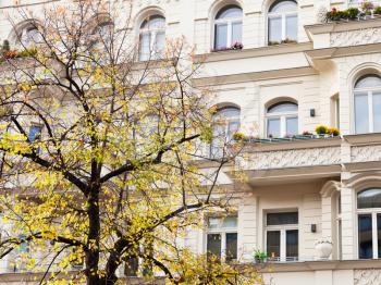 facade of residential house of 19th century and yellow linden in Berlin in autumn
