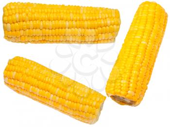 boiled corn on the cob isolated on white background