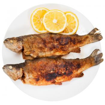 top view of two fried river trout fish on plate isolated on white background