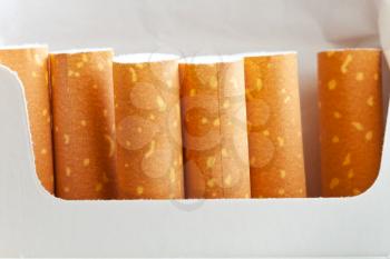 cigarette filters in cardboard cigarette pack close up