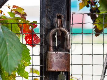 padlock with key on gate close up outdoors