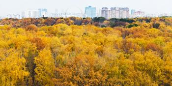 panoramic cityscape view with autumn urban park