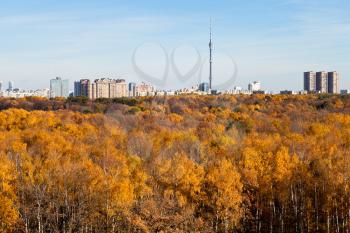 autumn skyline TV tower and yellow trees in Moscow in sunny day