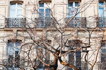 Paris urban building in early spring afternoon