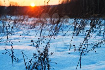 sundown under blue winter snowdrifts on country field