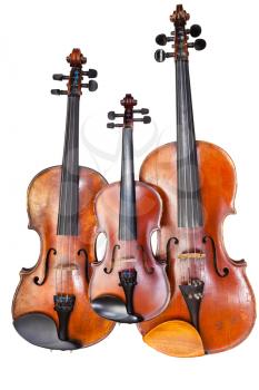 family of violins isolated on white background close up