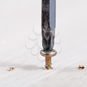 Screwdriver wraps screw in wood board