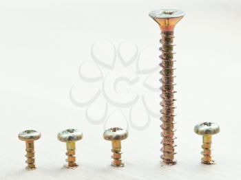 different height screws wrapped in wooden plank close up