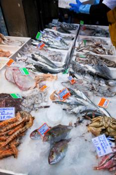 fresh cool fish on ice at fish market in Bologna, Italy