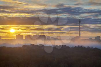early morning yellow sunrise and fog in autumn city