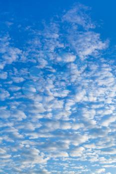 many white cumulus clouds in blue morning sky