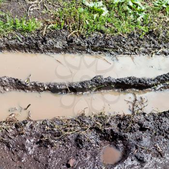 turbid puddle in country rut at summer after rain