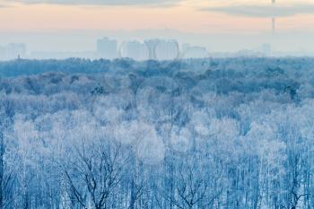 blue sunrise in very cold winter early morning, in Moscow, Russia