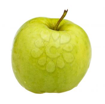 one granny smith apple isolated on white background