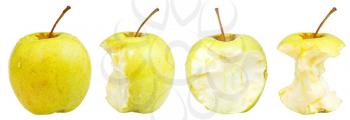 bitten apple and whole golden delicious apple isolated on white background