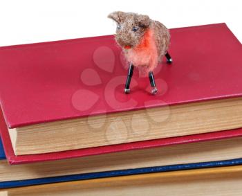 felt soft toy sheep on stack of books isolated on white background
