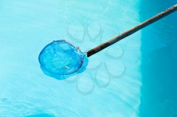 Cleaning of garden outdoor swimming pool by net leaf skimmer