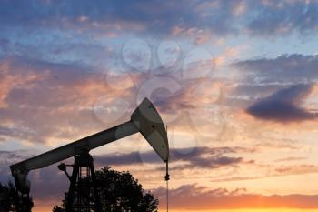 view of pumpjack pumping oil at summer sunset