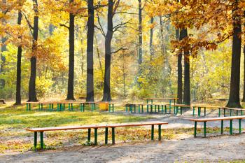 garden benches in urban park in sunny autumn day