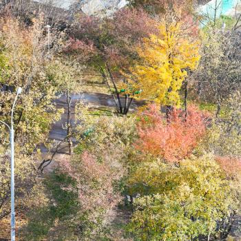above view of multicolored trees in public garden in autumn day