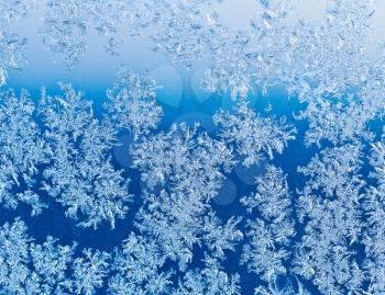 frozen snowflakes on window glass close up at blue winter sunrise