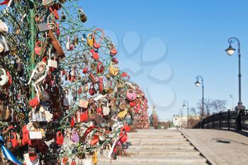 Love Tree with honeymooner padlocks on Luzhkov bridge in spring, Moscow