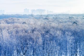 early morning over frozen urban park in winter, Moscow