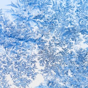 snowflakes and frost on glass close up - frosty blue pattern on window in cold winter day