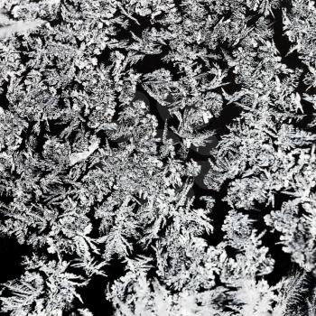 snowflakes and frost on glass close up - frosty black and white pattern on window in cold winter day
