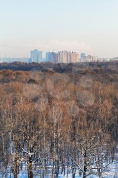 sunny cold morning over city park in winter, Moscow