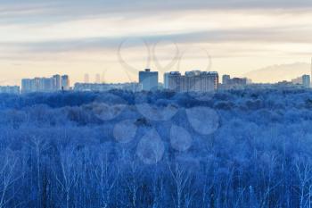 cold dawn over blue frozen city park in winter, Moscow