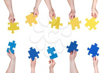 set of blue and yellow puzzle pieces in opposite sides in people hands isolated on white background