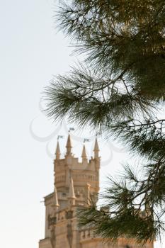 crimean pine tree and Swallow's Nest castle on Southern Coast of Crimea