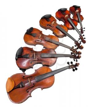 six sizes of violins isolated on white background