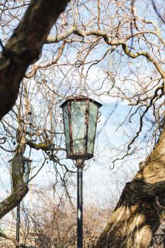 outdoor lanterns between tree branches in urban park in sunny spring day
