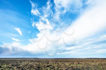 blue sky with white clouds over cultivated fileld in early spring
