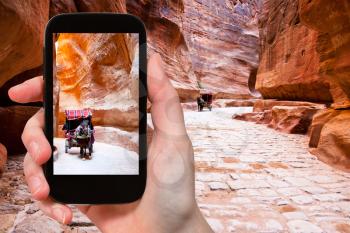 travel concept - tourist taking photo of bedouin carriage in Siq passage to Petra city, Jordan on mobile gadget