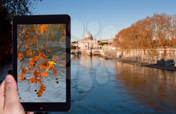 travel concept - tourist taking photo of autumn cityscape in Rome with St.Peter Basilica on mobile gadget, Italy