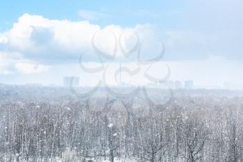 snow blizzard over city and forest in spring day