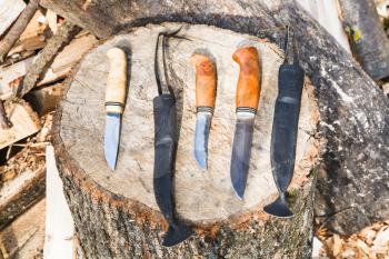 hand made hunting knives on wooden stump
