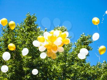 bunch of yellow and white balloons rising into blue sky