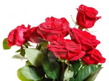 side view of bouquet of red roses isolated on white background