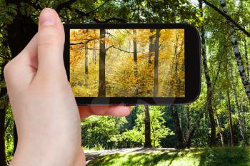 nature concept - tourist photographs picture of autumn scenic during summer and autumn seasons changing on tablet pc