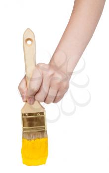direct view of painter hand with flat paintbrush painting in yellow paint isolated on white background