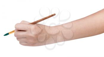 hand holds artistic paint brush with green painted tip isolated on white background