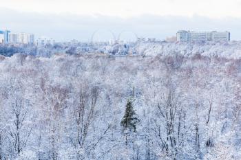 town and frozen park in winter season