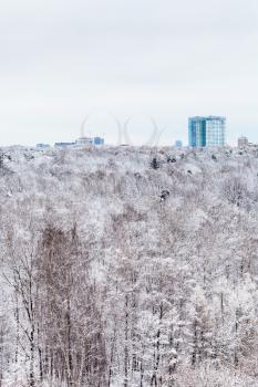 apartment house and snow forest in winter day