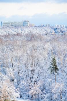 snow urban park and city in winter season