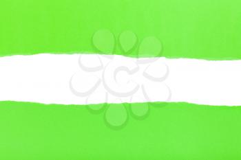 divided halves of the sheet of green ripped paper on white background